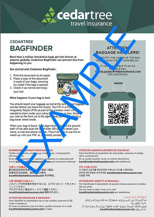 BagFinder document sample screenshot